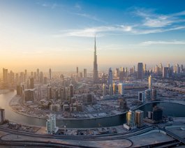 _MG_7260