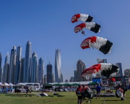DSC04806