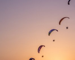 _DSC4791
