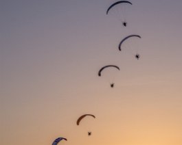 _DSC4798