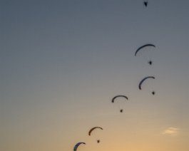 _DSC4801